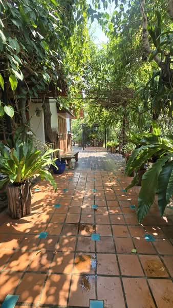 ลงทุนทำรีสอร์ทติดแม่น้ำ! แปลงนี้ครบจบ!! ขายที่ดิน ครุฑแดง พร้อมสิ่งปลูกสร้าง บนพื้นที่กว่า 15 ไร่, Kanchanaburi, ถนนทางหลวงชนบทกาญจนบุรี 4018 (6018), Lum Sum, Sai Yok, Kanchanaburi, , 24,000 sqm, Land For Sale, by คุณจี, 500171341 - DDproperty.com