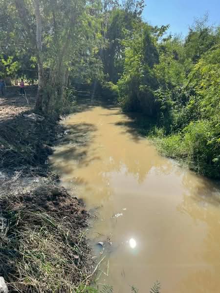 แม่ริม, เชียงใหม่, สันโป่ง, แม่ริม, เชียงใหม่, 588 ตร.ม., ที่ดิน ขาย, โดย อามร ยืนยง, 500171351 - DDproperty.com