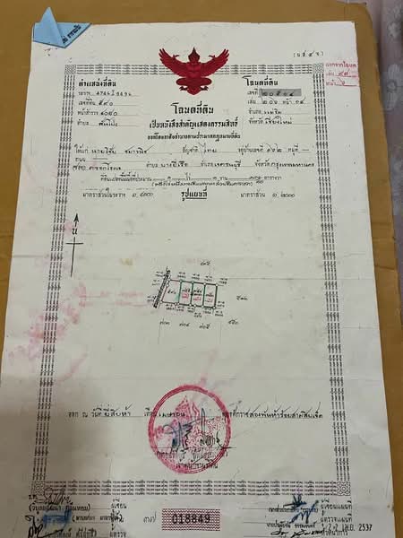 แม่ริม, เชียงใหม่, สันโป่ง, แม่ริม, เชียงใหม่, 588 ตร.ม., ที่ดิน ขาย, โดย อามร ยืนยง, 500171351 - DDproperty.com