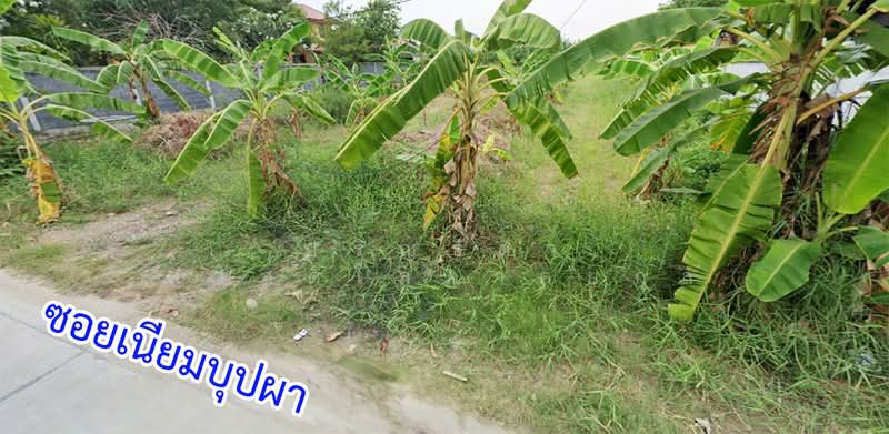 Vacant land for sale on Phutthamonthon Sai 1 Road, Bang Ramat, Taling Chan, Bangkok., Bangkok, พุทธมณฑลสาย1, Bang Ra Mat, Taling Chan, Bangkok, , 4,512 sqm, Land For Sale, by Parinthida Sawuddisopakaykul, 500171372 - DDproperty.com