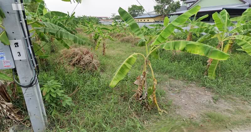 Vacant land for sale on Phutthamonthon Sai 1 Road, Bang Ramat, Taling Chan, Bangkok., Bangkok, พุทธมณฑลสาย1, Bang Ra Mat, Taling Chan, Bangkok, , 4,512 sqm, Land For Sale, by Parinthida Sawuddisopakaykul, 500171372 - DDproperty.com