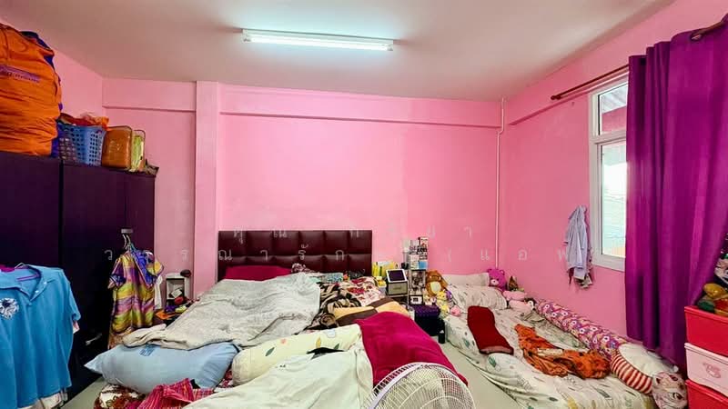 อาคารพาณิชย์ 3 ชั้น 13 ตร.ว. ตรอกเชิงสะพานพิบูล (ฝั่งขวา) ถนนประชาราษฎร์สาย1, Bangkok, Bang Sue, Bang Sue, Bangkok, , 70 sqm, Shophouse For Sale, by คุณ กิริยา วรรณารักษ์ (แอฟ), 500171383 - DDproperty.com