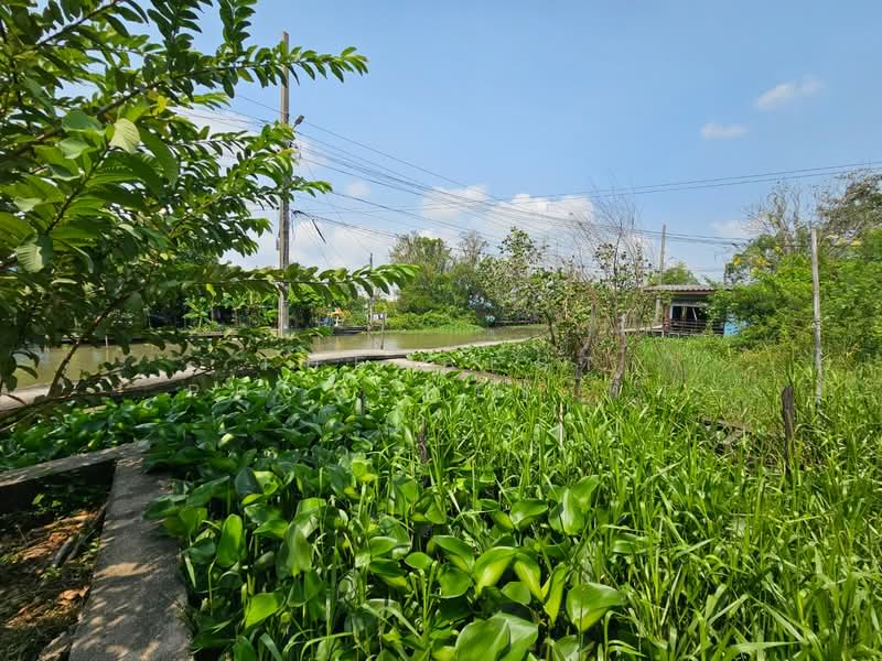 บ้านเดี่ยวพร้อมที่ดินบางเสาธง สมุทรปราการ, สมุทรปราการ, บางเสาธง, บางเสาธง, สมุทรปราการ, 150 ตร.ม., บ้านเดี่ยว ขาย, โดย The Best Property ทิ้ม, 500171425 - DDproperty.com