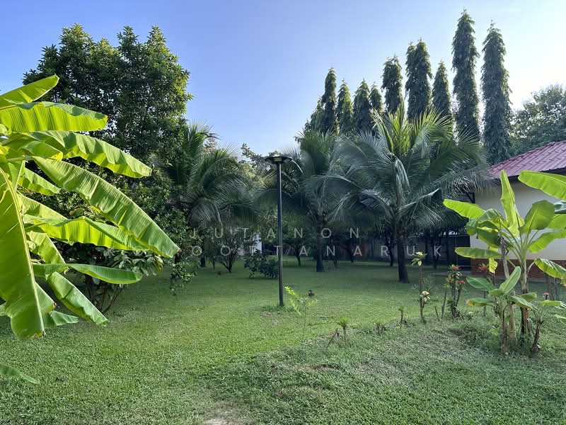 ขายบ้านพูลวิลล่า 2 ไร่ บ้านสวนพร้อมสระว่ายน้ำ บรรยากาศดี เงียบสงบ ทำเลดีใกล้แหล่งท่องเที่ยว, Khon Kaen, Khuan Ubonrat, Ubol Ratana, Khon Kaen, 3 Bedrooms, 3,200 sqm, Single Detached House For Sale, by Jutanon Komoottanaruk, 500171459 - DDproperty.com