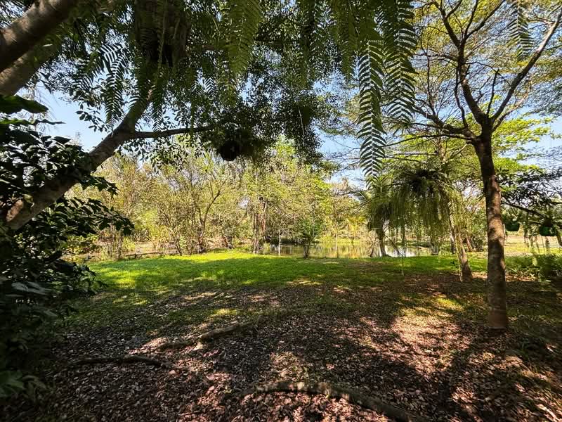 บ้านเดี่ยวพร้อมที่ดินดำเนินสะดวก ราชบุรี, Ratchaburi, Khunphithak, Damnoen Saduak, Ratchaburi, 1 Bedroom, 150 sqm, Single Detached House For Sale, by The Best Property จอย, 500171538 - DDproperty.com