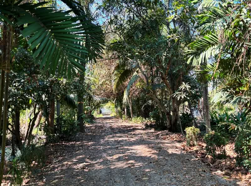 ขาย - บ้านเดี่ยวพร้อมที่ดินดำเนินสะดวก ราชบุรี, ราชบุรี