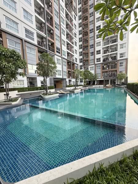The Trust Condo Ngamwongwan, Nonthaburi, 74 Ngamwongwan Road, Bang Khen, Muang Nonthaburi, Nonthaburi, 1 Bedroom, 30 sqm, Condo For Rent, by อรุณ อเนกคุณะ, 500171583 - DDproperty.com