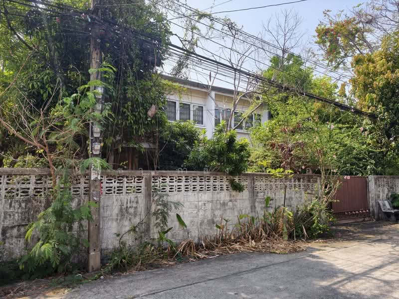 Ladprao Road Soi 110, Bangkok, ลาดพร้าว, Phlapphla, Wang Thonglang, Bangkok, 4 Bedrooms, 200 sqm, Single Detached House For Sale, by นัชชา กำลังเหลือ, 500171670 - DDproperty.com
