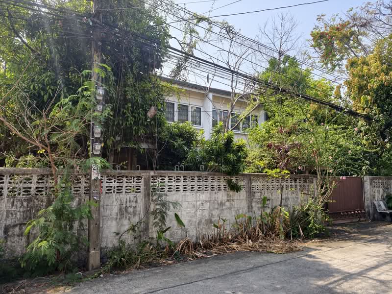 Ladprao Road Soi 110, Bangkok, ลาดพร้าว, Phlapphla, Wang Thonglang, Bangkok, 4 Bedrooms, 200 sqm, Single Detached House For Sale, by นัชชา กำลังเหลือ, 500171670 - DDproperty.com