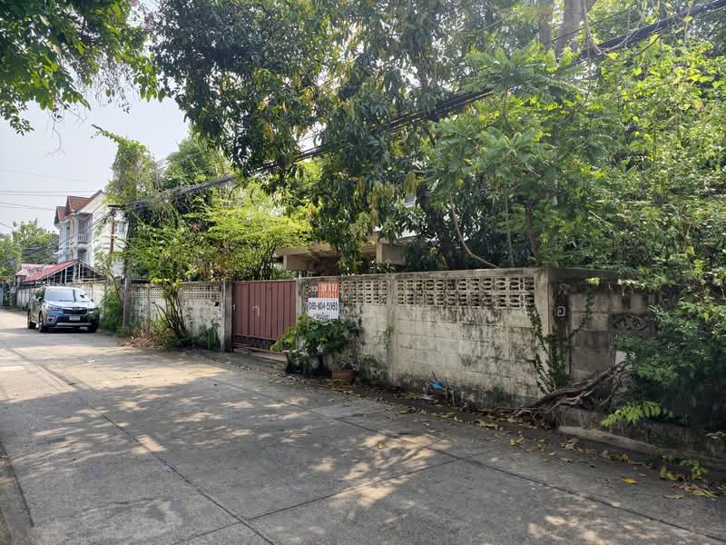 ถนนลาดพร้าวซอย110, กรุงเทพ, ลาดพร้าว, พลับพลา, วังทองหลาง, กรุงเทพ, 200 ตร.ม., บ้านเดี่ยว ขาย, โดย นัชชา กำลังเหลือ, 500171670 - DDproperty.com