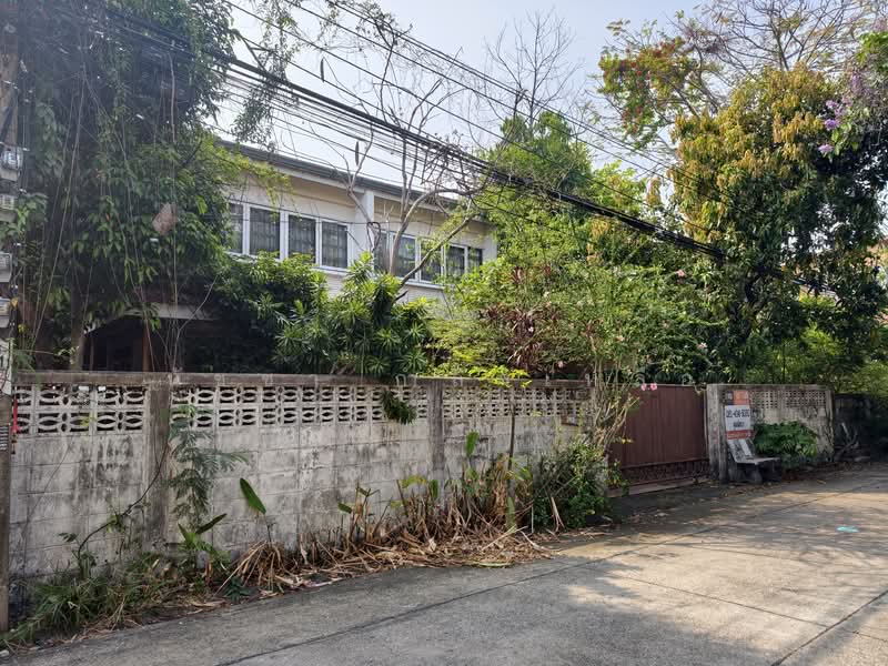 ขายบ้านเดี่ยว ลาดพร้าว ซ.110 วังทองหลาง บางกะปิ เลียบทางด่วน, กรุงเทพ, ลาดพร้าว, พลับพลา, วังทองหลาง, กรุงเทพ, 200 ตร.ม., บ้านเดี่ยว ขาย, โดย นัชชา กำลังเหลือ, 500171670 - DDproperty.com