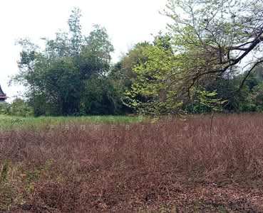 ขาย - ที่ดินแหลมสิงห์ จันทบุรี, จันทบุรี