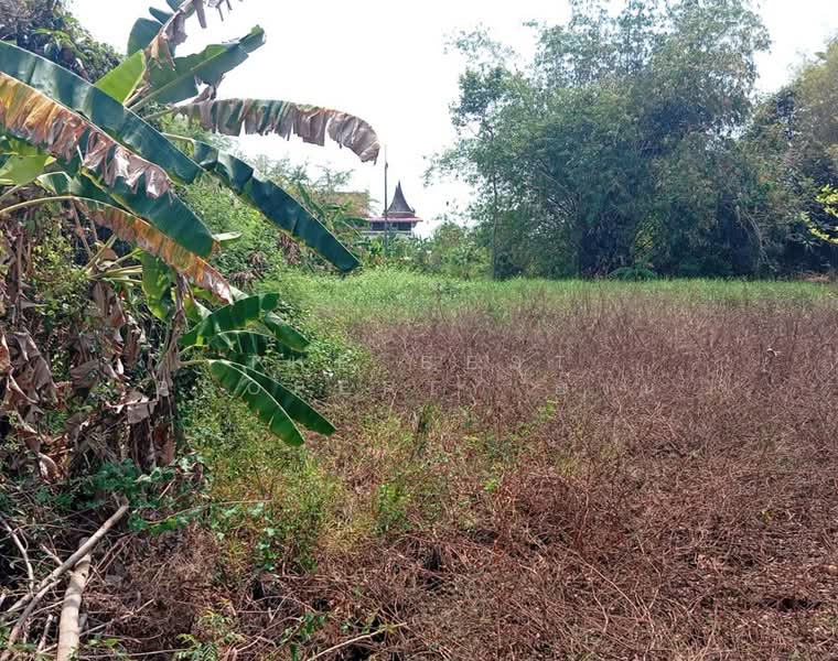 ที่ดินแหลมสิงห์ จันทบุรี, จันทบุรี, บางกะไชย, แหลมสิงห์, จันทบุรี, 4,124 ตร.ม., ที่ดิน ขาย, โดย The Best Property อ้วน, 500171729 - DDproperty.com