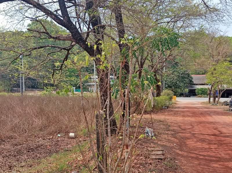 ที่ดินแหลมสิงห์ จันทบุรี, จันทบุรี, บางกะไชย, แหลมสิงห์, จันทบุรี, 4,124 ตร.ม., ที่ดิน ขาย, โดย The Best Property อ้วน, 500171729 - DDproperty.com