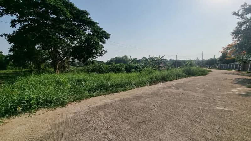 ขาย - ขาย ที่ดิน โซนหนองผึ้ง สารภี, เชียงใหม่