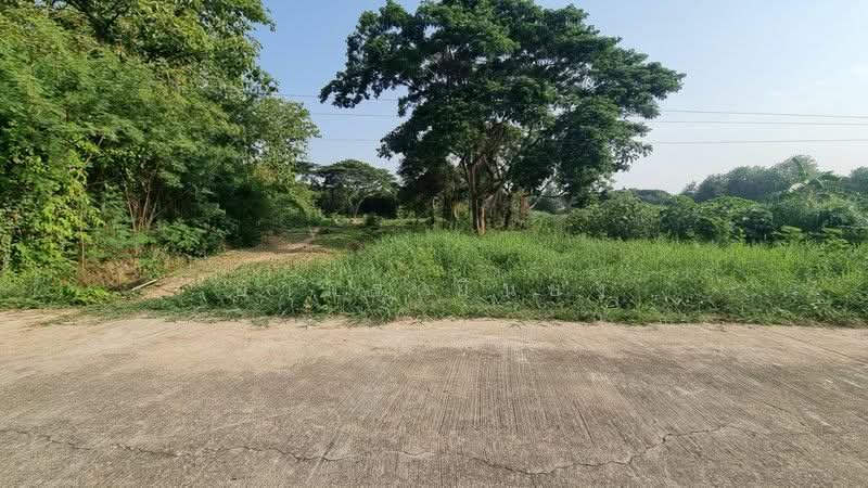 ขาย - ขาย ที่ดิน โซนหนองผึ้ง สารภี, เชียงใหม่