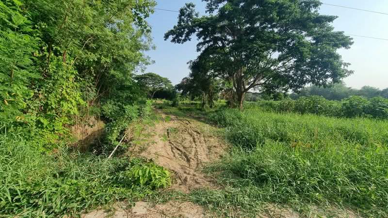 ขาย - ขาย ที่ดิน โซนหนองผึ้ง สารภี, เชียงใหม่