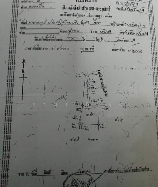 ขาย - ขาย ที่ดิน โซนหนองผึ้ง สารภี, เชียงใหม่