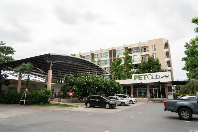 Happy Condo Ladprao 101, Bangkok, Ladprao Road, Wang Thonglang, Wang Thonglang, Bangkok, 1 Bedroom, 63 sqm, Condo For Rent, by Chanisara Kruakaew, 500171757 - DDproperty.com