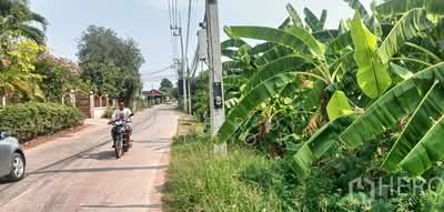 ขาย - ขาย ที่ดิน 6,561 ตารางวา หนองกระทุ่ม เมืองนครราชสีมา ใกล้ถนนมิตรภาพ และ Terminal 21 โคราช hre00309, นครราชสีมา