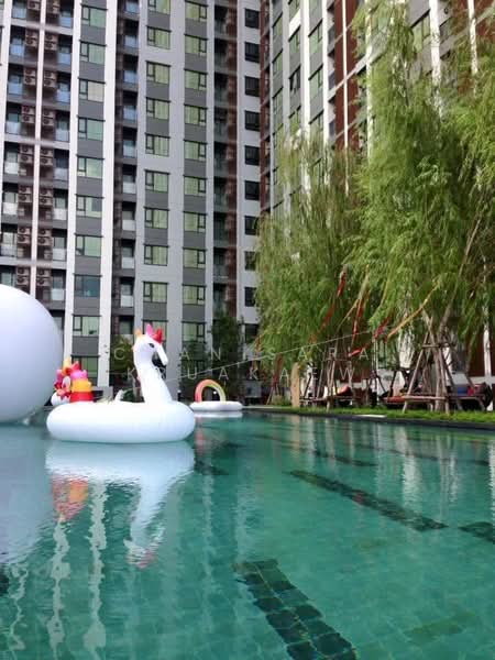 Life Pinklao : ไลฟ์ ปิ่นเกล้า, กรุงเทพ, ถนนบรมราชชนนี, บางบำหรุ, บางพลัด, กรุงเทพ, 30 ตร.ม., คอนโด ขาย, โดย Chanisara Kruakaew, 500171953 - DDproperty.com