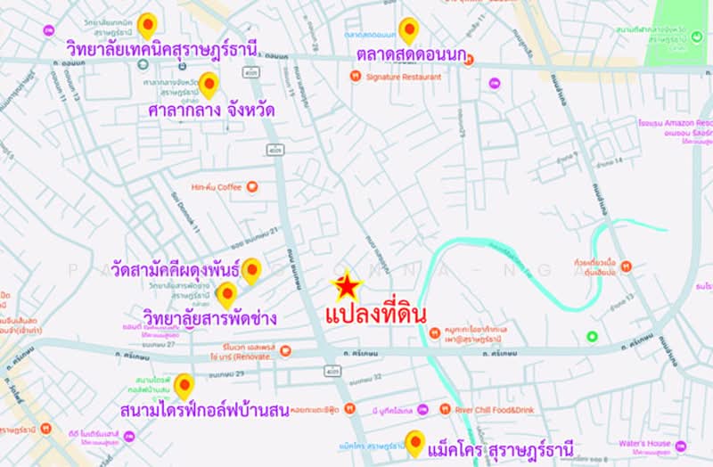 ขายที่ดินเปล่า 1-2-64 ไร่ ใกล้สนามไดรฟ์กอล์ฟบ้านสน อ.เมือง จ.สุราษฎร์ธานี, Surat Thani, Makham Tia, Muang Surat Thani, Surat Thani, , 2,656 sqm, Land For Sale, by Paiwong Onna-nam, 500172031 - DDproperty.com