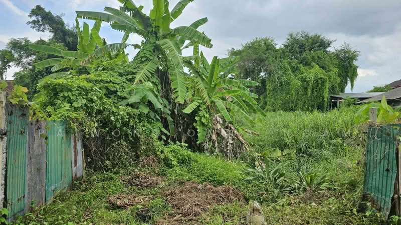 ขายที่ดินเปล่า 1-2-64 ไร่ ใกล้สนามไดรฟ์กอล์ฟบ้านสน อ.เมือง จ.สุราษฎร์ธานี, สุราษฎร์ธานี, มะขามเตี้ย, เมืองสุราษฎร์ธานี, สุราษฎร์ธานี, 2,656 ตร.ม., ที่ดิน ขาย, โดย paiwong onna-ngam, 500172031 - DDproperty.com