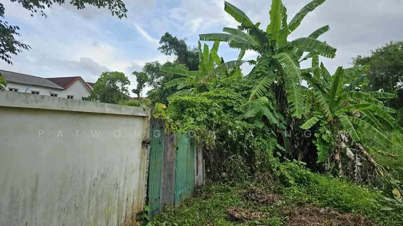 ขายที่ดินเปล่า 1-2-64 ไร่ ใกล้สนามไดรฟ์กอล์ฟบ้านสน อ.เมือง จ.สุราษฎร์ธานี, Surat Thani, Makham Tia, Muang Surat Thani, Surat Thani, , 2,656 sqm, Land For Sale, by Paiwong Onna-nam, 500172031 - DDproperty.com