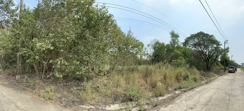 Kc garden home, Bangkok, Sam Wa Tawan Ok, Khlong Sam Wa, Bangkok, , 1,600 sqm, Land For Sale, by Yuhua Yan, 500172078 - DDproperty.com