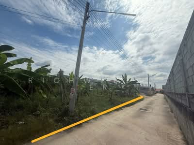 ขาย - ขายที่ดินหนองปรือ พัทยา 180 ตรว. ถมแล้วซอยชัยพรวิธี14 มาบสอง-ค่ายมวย, ชลบุรี