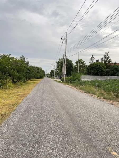Land for sale in Nong Hiang, Phanat Nikhom, 3 rai, Ban Sai Khu Soi 13, near Road 3086 - 1 km., Chon Buri (Pattaya), Nong Hiang, Phanat Nikhom, Chon Buri (Pattaya), , 4,872 sqm, Land For Sale, by richwellinter, 500172140 - DDproperty.com
