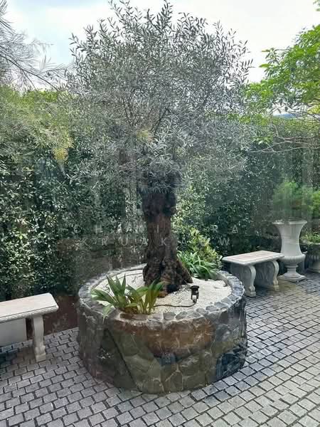 3-BR House, Bangkok, Khlong Tan Nua, Watthana, Bangkok, 3 Bedrooms, 622 sqm, Single Detached House For Sale, by Chanisara Kruakaew, 500172146 - DDproperty.com