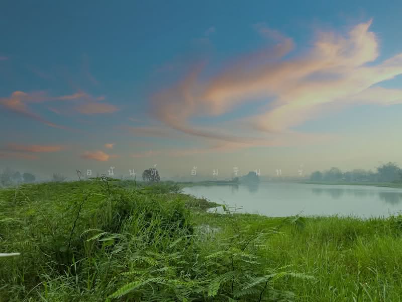 ขายที่ดิน 22 ไร่ 1 งาน 24.2 ตร.ว. ติดแม่น้ำกก ใกล้สนามบินแม่ฟ้าหลวง เชียงราย, เชียงราย, ริมกก, เมืองเชียงราย, เชียงราย, 35,696 ตร.ม., ที่ดิน ขาย, โดย อนันต์ อัมรินทร์, 500172220 - DDproperty.com