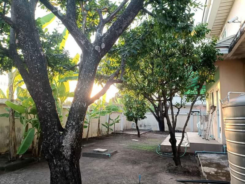 บ้าน 5-ห้องนอน, กรุงเทพ, ท่าแร้ง, บางเขน, กรุงเทพ, 495 ตร.ม., บ้านเดี่ยว ขาย, โดย Chavis Laismit, 500172364 - DDproperty.com