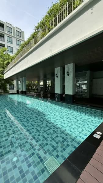 Kensington Phahol-Kaset : เคนซิงตัน พหล-เกษตร, กรุงเทพ, ถนนพหลโยธิน, เสนานิคม, จตุจักร, กรุงเทพ, 31 ตร.ม., คอนโด ขาย, โดย Veera Sawatrangsri, 500172487 - DDproperty.com