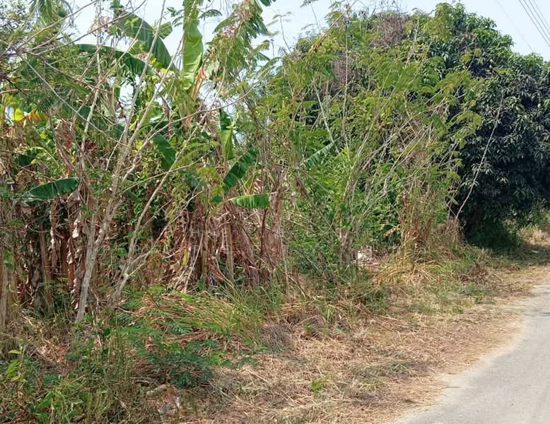 ขาย - ที่ดินแหลมสิงห์ จันทบุรี, จันทบุรี