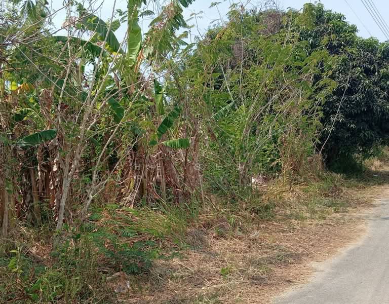 ขาย - ที่ดินแหลมสิงห์ จันทบุรี, จันทบุรี