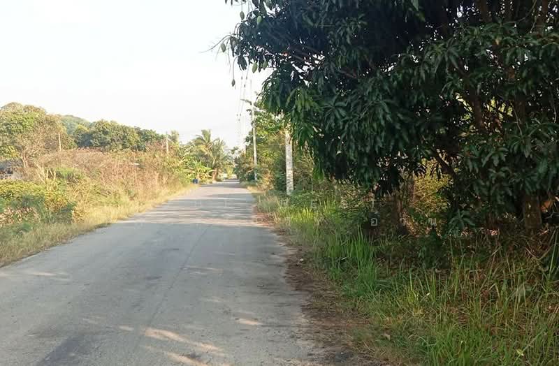 ขาย - ที่ดินแหลมสิงห์ จันทบุรี, จันทบุรี