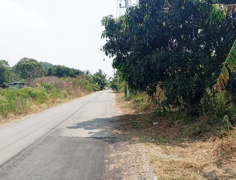 ขาย - ที่ดินแหลมสิงห์ จันทบุรี, จันทบุรี