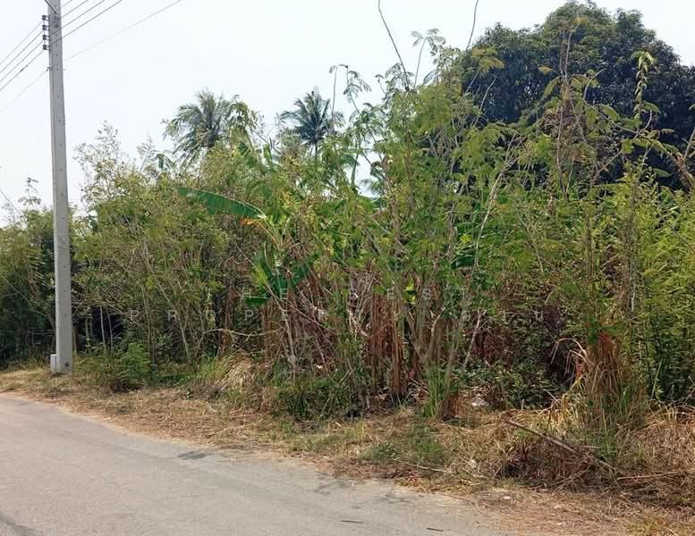 ขาย - ที่ดินแหลมสิงห์ จันทบุรี, จันทบุรี