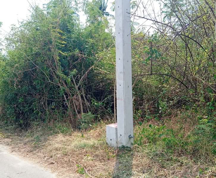 For Sale - ที่ดินแหลมสิงห์ จันทบุรี, Chanthaburi