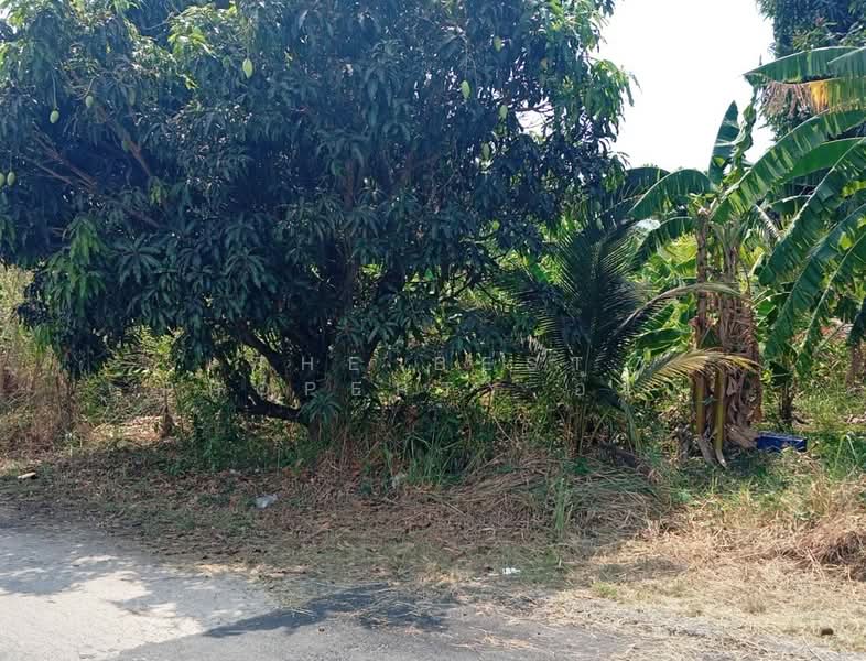 For Sale - ที่ดินแหลมสิงห์ จันทบุรี, Chanthaburi