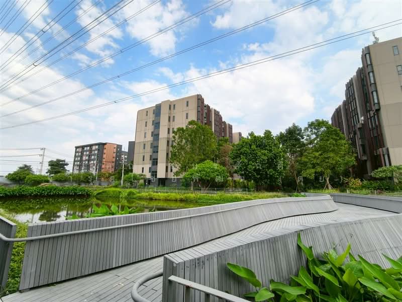 Jin Wellbeing County : จิณณ์ เวลบีอิ้ง เคาน์ตี้, ปทุมธานี, 89 หมู่ 3, คลองหนึ่ง, คลองหลวง, ปทุมธานี, 70 ตร.ม., คอนโด ขาย, โดย คุณ อมรศักดิ์ จารุตไชยพัฒน์ (ดุ่ย), 500172552 - DDproperty.com