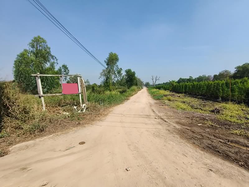 ที่ดินองครักษ์ นครนายก, นครนายก, บางปลากด, องครักษ์, นครนายก, 12,644 ตร.ม., ที่ดิน ขาย, โดย The Best Property ยุ, 500172587 - DDproperty.com
