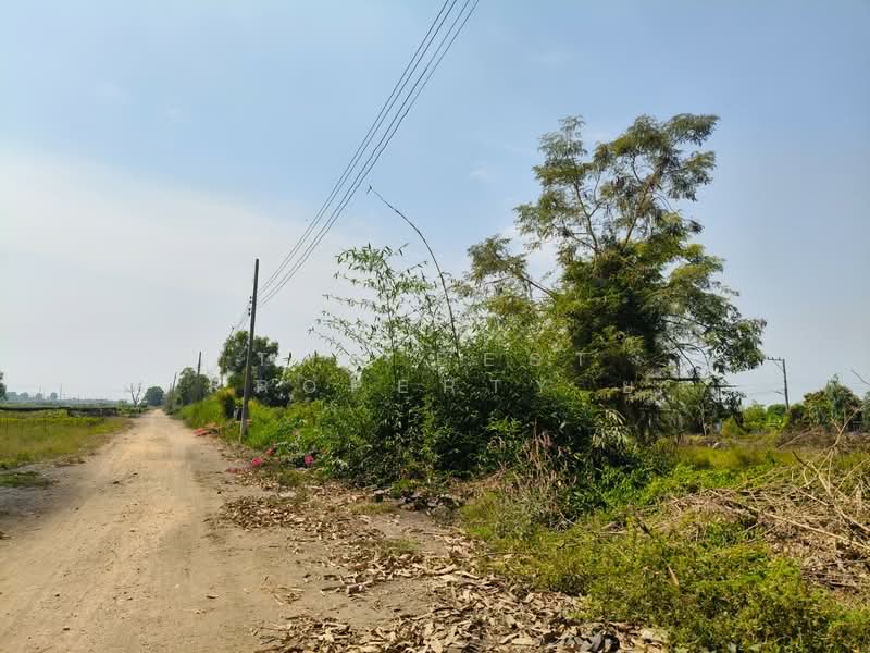 ที่ดินองครักษ์ นครนายก, Nakhon Nayok, Bang Pla Kot, Ongkharak, Nakhon Nayok, , 12,644 sqm, Land For Sale, by The Best Property ยุ, 500172587 - DDproperty.com