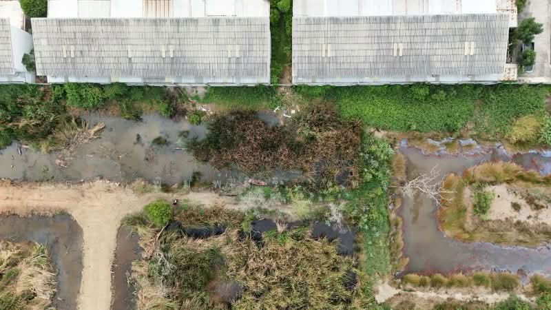 ที่ดินเปล่า 165 ตร.วา คลอง 2 - คลองหลวง ราคาถูก, Pathum Thani, Khlong Song, Khlong Luang, Pathum Thani, , 660 sqm, Land For Sale, by คุณ พิมพ์สิริ (ทราย), 500172664 - DDproperty.com