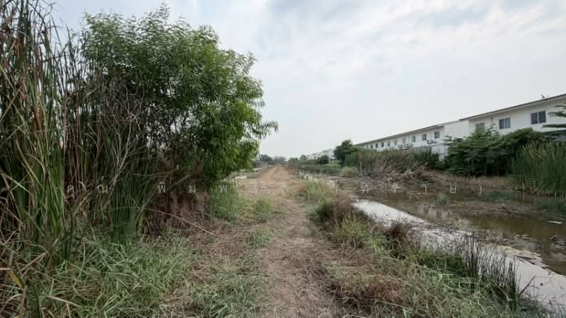 ที่ดินเปล่า 165 ตร.วา คลอง 2 - คลองหลวง ราคาถูก, Pathum Thani, Khlong Song, Khlong Luang, Pathum Thani, , 660 sqm, Land For Sale, by คุณ พิมพ์สิริ (ทราย), 500172664 - DDproperty.com