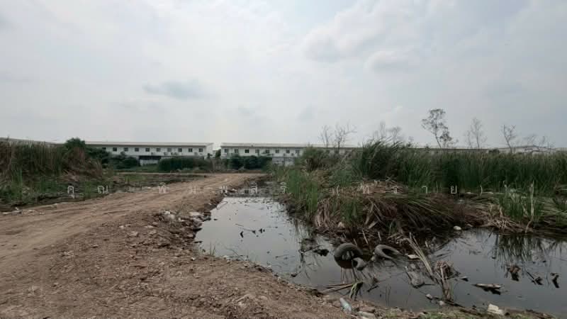ที่ดินเปล่า 165 ตร.วา คลอง 2 - คลองหลวง ราคาถูก, Pathum Thani, Khlong Song, Khlong Luang, Pathum Thani, , 660 sqm, Land For Sale, by คุณ พิมพ์สิริ (ทราย), 500172664 - DDproperty.com