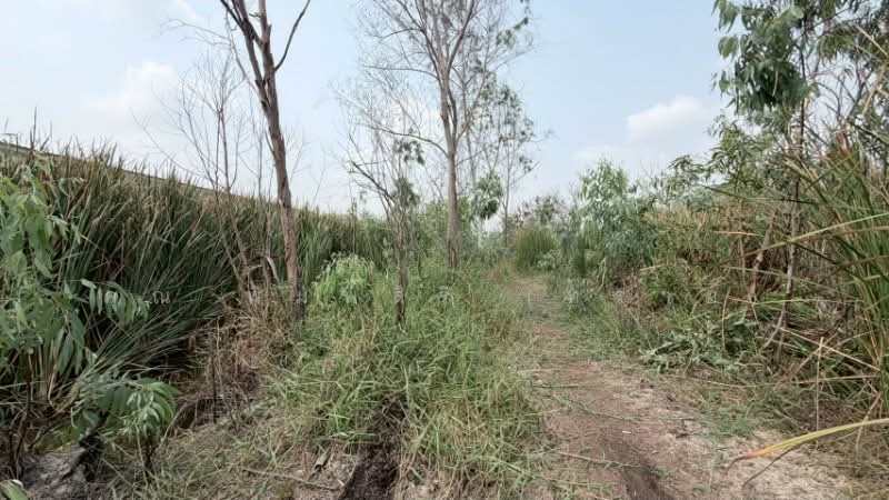 ที่ดินเปล่า 165 ตร.วา คลอง 2 - คลองหลวง ราคาถูก, ปทุมธานี, คลองสอง, คลองหลวง, ปทุมธานี, 660 ตร.ม., ที่ดิน ขาย, โดย คุณ พิมพ์สิริ (ทราย), 500172664 - DDproperty.com