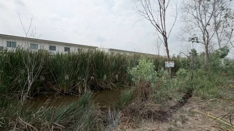 ที่ดินเปล่า 165 ตร.วา คลอง 2 - คลองหลวง ราคาถูก, Pathum Thani, Khlong Song, Khlong Luang, Pathum Thani, , 660 sqm, Land For Sale, by คุณ พิมพ์สิริ (ทราย), 500172664 - DDproperty.com